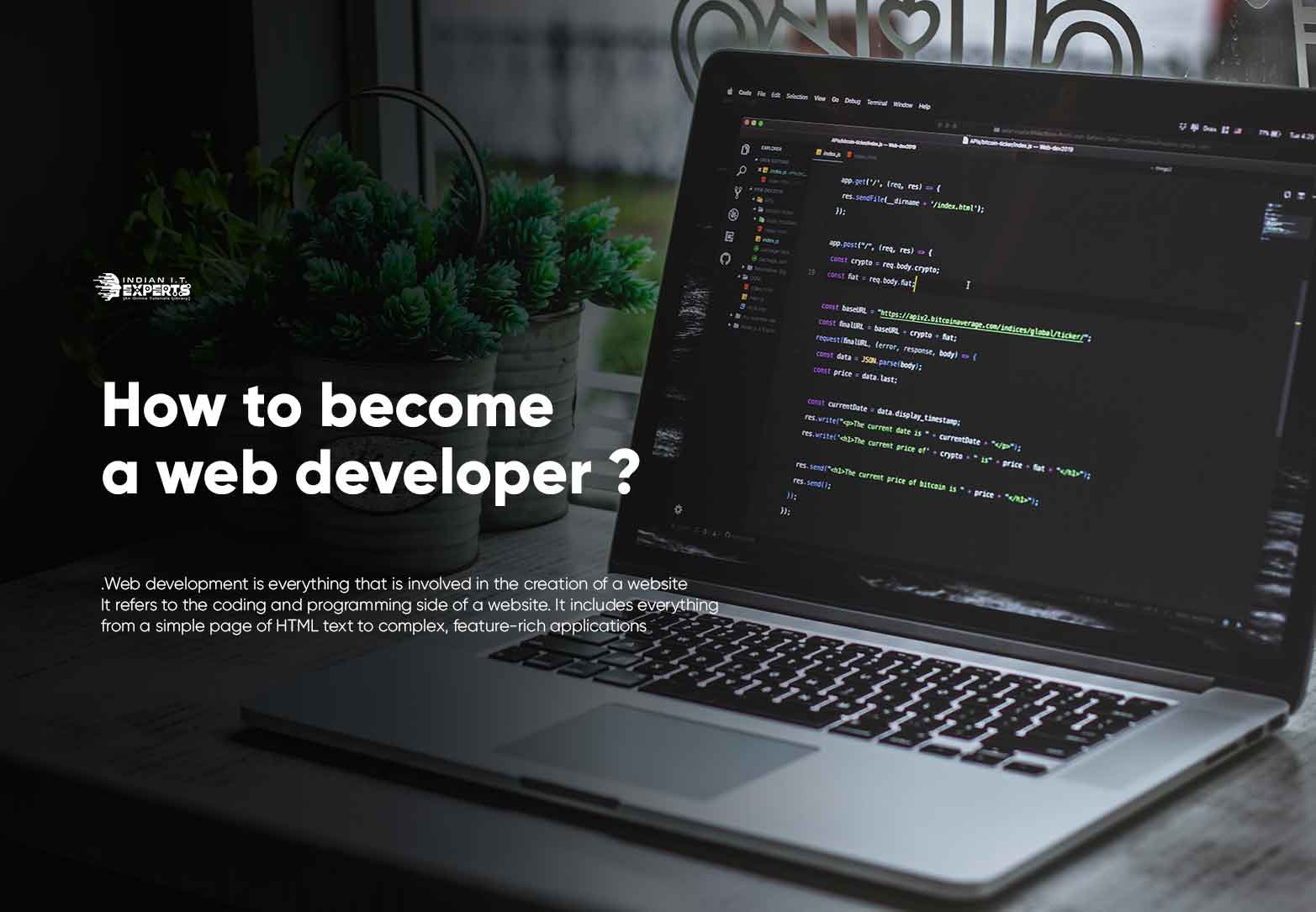 Web Developer