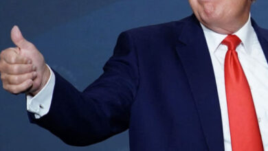 A Good Night for Trump-Backed Candidates