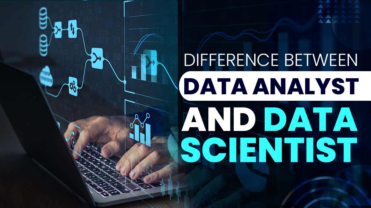 data analyst and data scientist