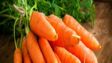 Benefits of eating carrots