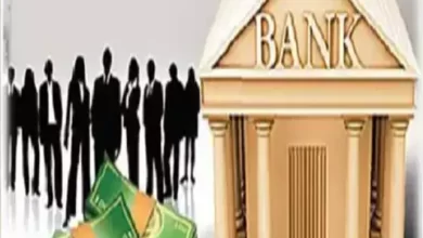 Small Finance Banks