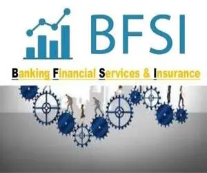 What is BFSI