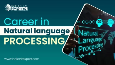 Career in Natural Language Processing