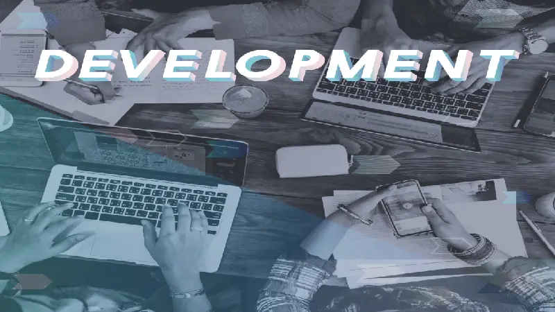 Web Developer